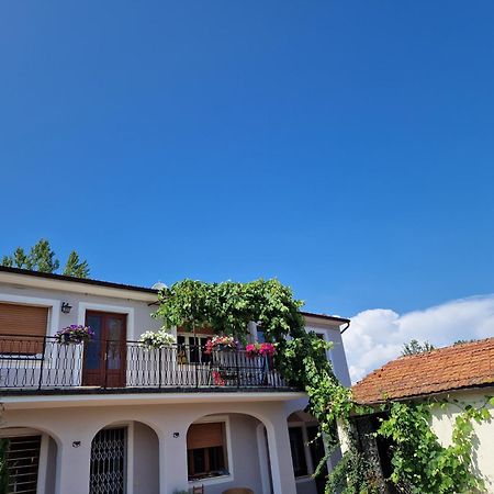 Ferienwohnung La Casa Nella Vigna Colline Del Vino Capannori Exterior foto