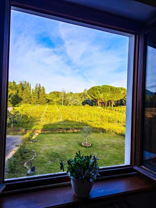 Ferienwohnung La Casa Nella Vigna Colline Del Vino Capannori Exterior foto