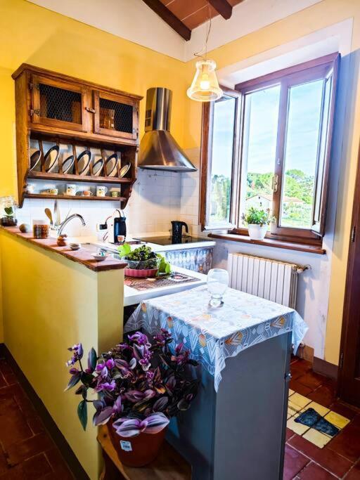 Ferienwohnung La Casa Nella Vigna Colline Del Vino Capannori Exterior foto