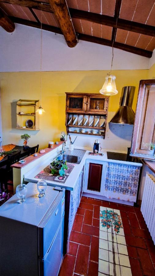 Ferienwohnung La Casa Nella Vigna Colline Del Vino Capannori Exterior foto