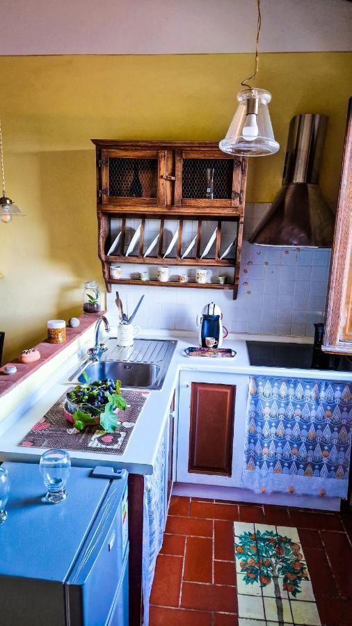 Ferienwohnung La Casa Nella Vigna Colline Del Vino Capannori Exterior foto