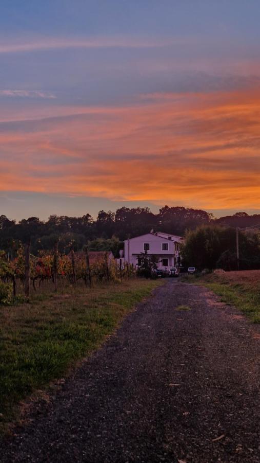 Ferienwohnung La Casa Nella Vigna Colline Del Vino Capannori Exterior foto
