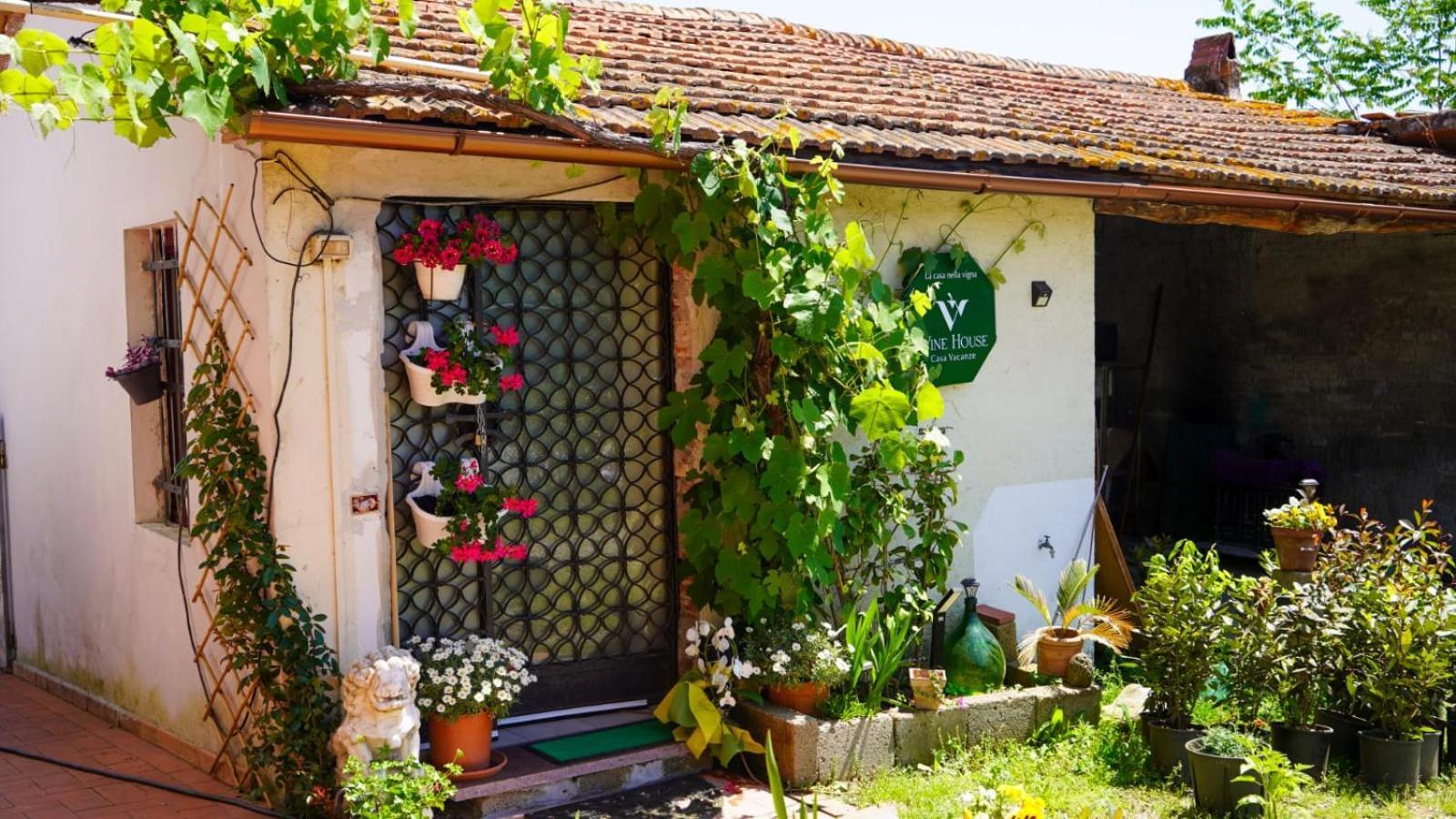 Ferienwohnung La Casa Nella Vigna Colline Del Vino Capannori Exterior foto